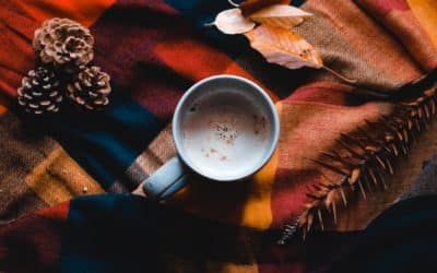 Immobilier novembre 2025 : les chiffres et informations du mois