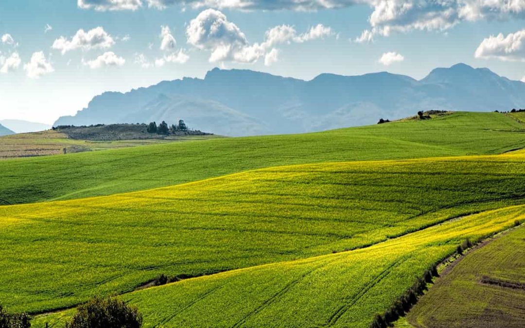 Terrain à bâtir : abattements importants sur l’imposition de la plus-value